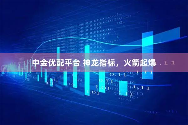 中金优配平台 神龙指标，火箭起爆