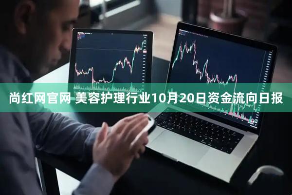 尚红网官网 美容护理行业10月20日资金流向日报